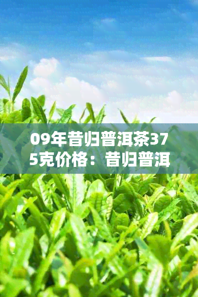 09年昔归普洱茶375克价格：昔归普洱茶2013,昔归普洱茶2016