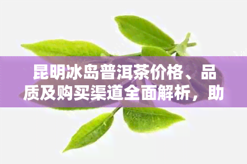 昆明冰岛普洱茶价格、品质及购买渠道全面解析，助您轻松挑选优质茶叶