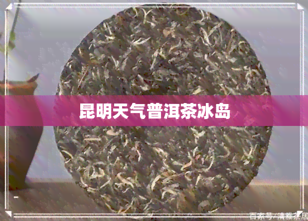 昆明天气普洱茶冰岛