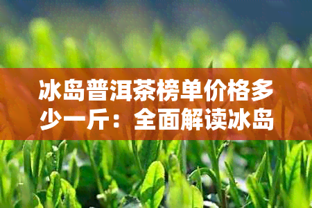 冰岛普洱茶榜单价格多少一斤：全面解读冰岛普洱茶价格、特点和功效