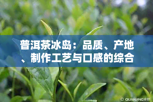 普洱茶冰岛：品质、产地、制作工艺与口感的综合解析