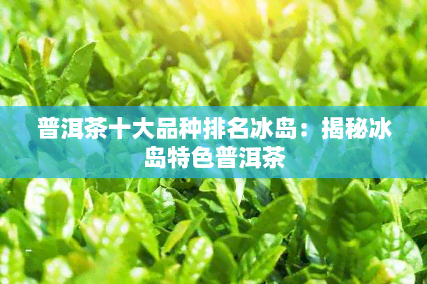 普洱茶十大品种排名冰岛：揭秘冰岛特色普洱茶