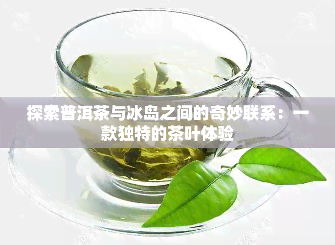 探索普洱茶与冰岛之间的奇妙联系：一款独特的茶叶体验