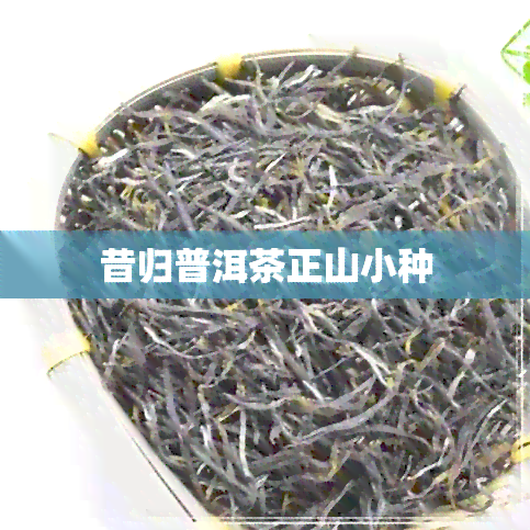 昔归普洱茶正山小种