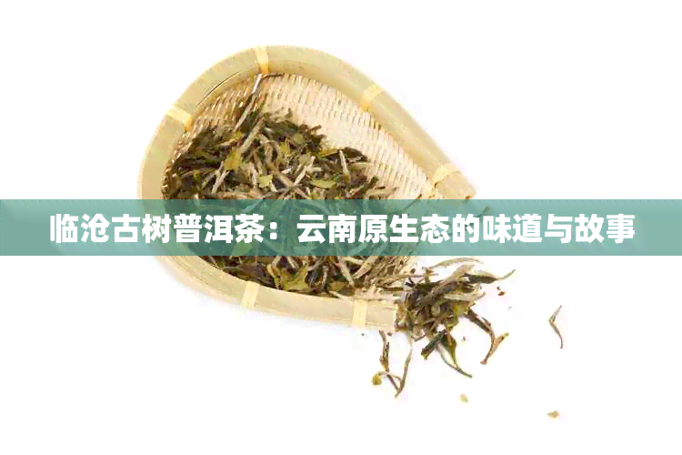 临沧古树普洱茶：云南原生态的味道与故事