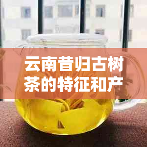 云南昔归古树茶的特征和产量，以及与普洱茶的比较，揭示其独特价值和价格