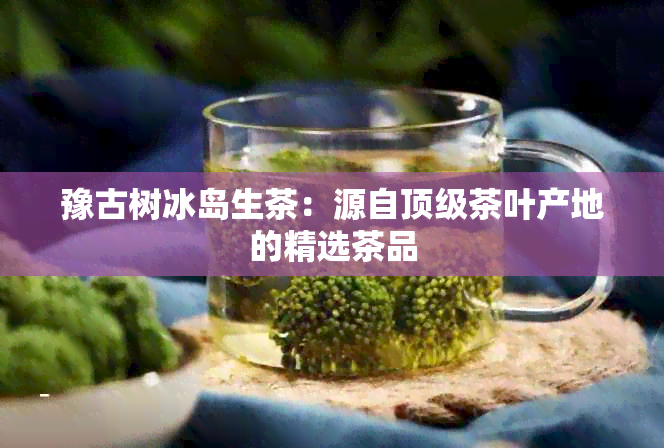 豫古树冰岛生茶：源自顶级茶叶产地的精选茶品