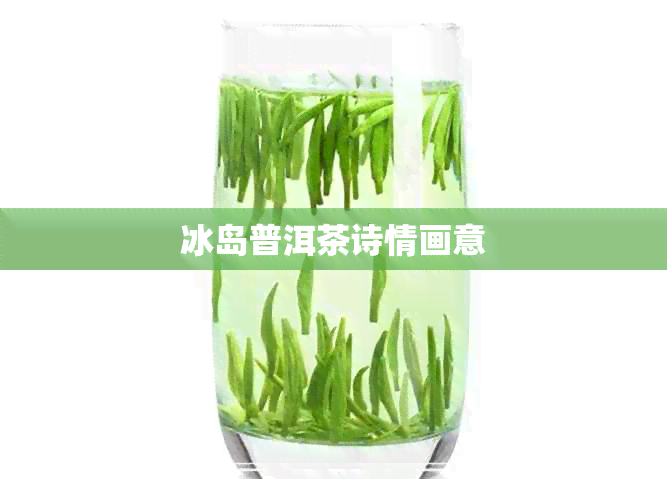 冰岛普洱茶诗情画意