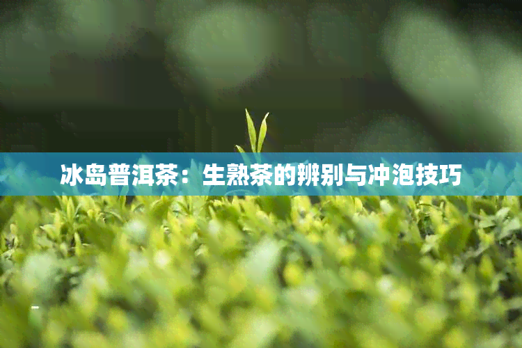 冰岛普洱茶：生熟茶的辨别与冲泡技巧