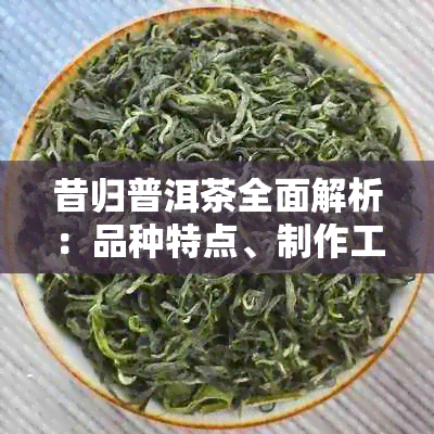 昔归普洱茶全面解析：品种特点、制作工艺与品鉴技巧一文搞定