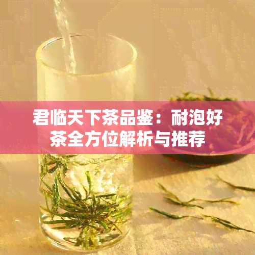 君临天下茶品鉴：耐泡好茶全方位解析与推荐