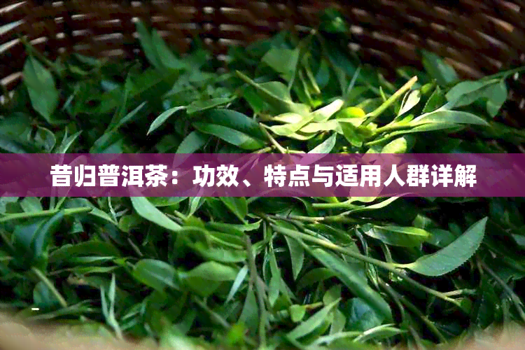 昔归普洱茶：功效、特点与适用人群详解