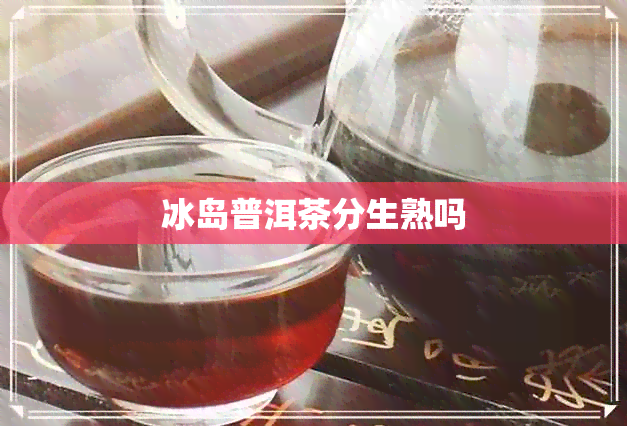 冰岛普洱茶分生熟吗