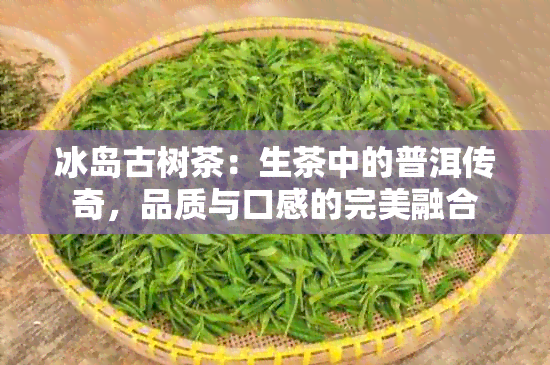 冰岛古树茶：生茶中的普洱传奇，品质与口感的完美融合