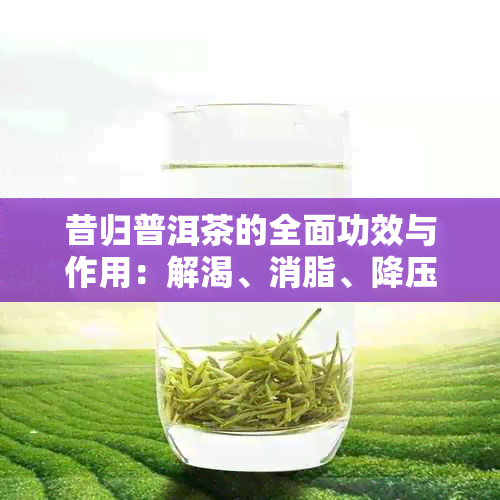 昔归普洱茶的全面功效与作用：解渴、消脂、降压、提神还是抗癌？