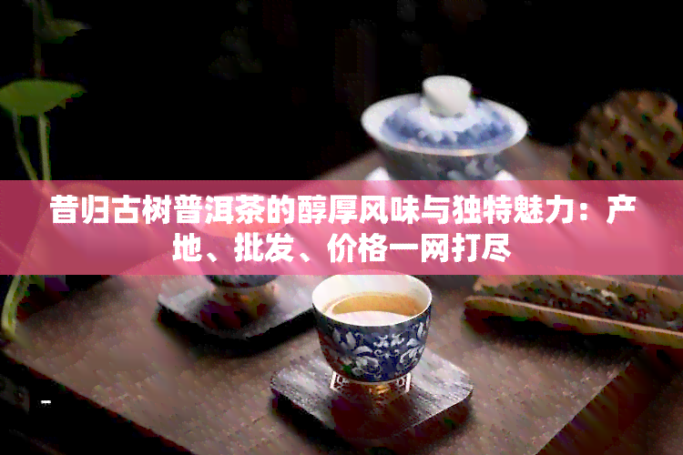 昔归古树普洱茶的醇厚风味与独特魅力：产地、批发、价格一网打尽