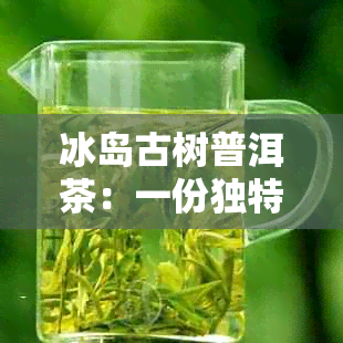 冰岛古树普洱茶：一份独特的口感体验