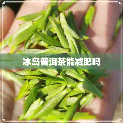 冰岛普洱茶能减肥吗