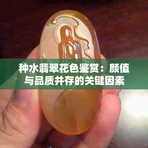 种水翡翠花色鉴赏：颜值与品质并存的关键因素