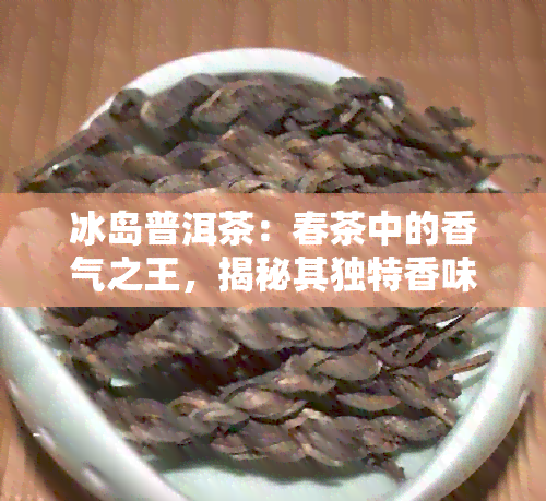 冰岛普洱茶：春茶中的香气之王，揭秘其独特香味及特点