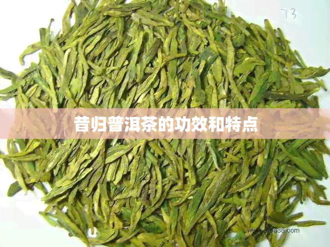 昔归普洱茶的功效和特点