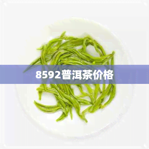 8592普洱茶价格