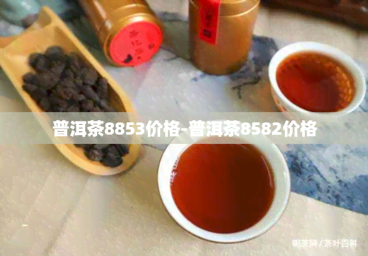 普洱茶8853价格-普洱茶8582价格