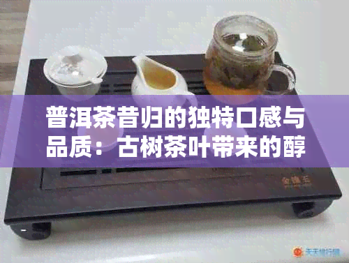 普洱茶昔归的独特口感与品质：古树茶叶带来的醇厚滋味与生津感