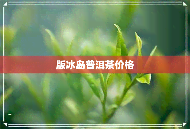 版冰岛普洱茶价格