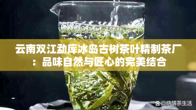 云南双江勐库冰岛古树茶叶精制茶厂：品味自然与匠心的完美结合