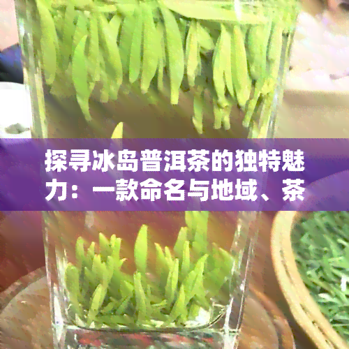 探寻冰岛普洱茶的独特魅力：一款命名与地域、茶型无关的神秘茶品