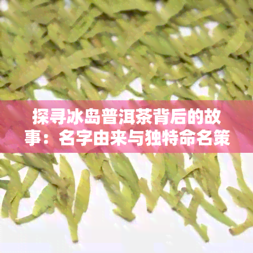 探寻冰岛普洱茶背后的故事：名字由来与独特命名策略