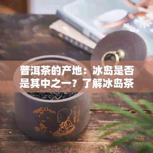 普洱茶的产地：冰岛是否是其中之一？了解冰岛茶区的特色与产量