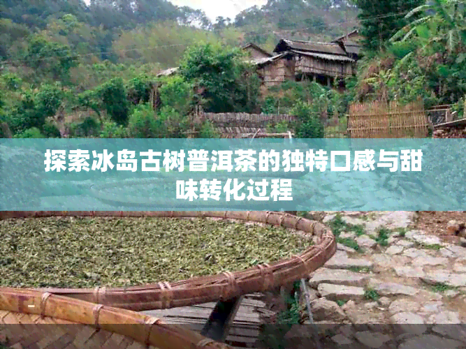 探索冰岛古树普洱茶的独特口感与甜味转化过程