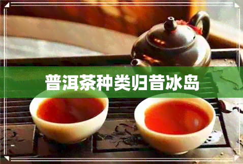 普洱茶种类归昔冰岛