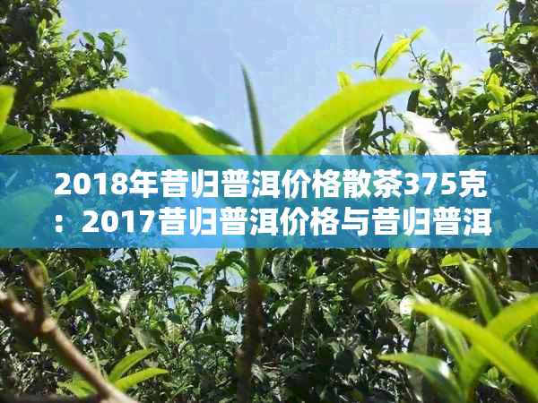 2018年昔归普洱价格散茶375克：2017昔归普洱价格与昔归普洱茶行情分析