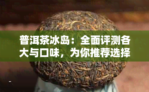 普洱茶冰岛：全面评测各大与口味，为你推荐选择！