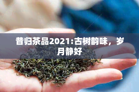 昔归茶品2021:古树韵味，岁月静好