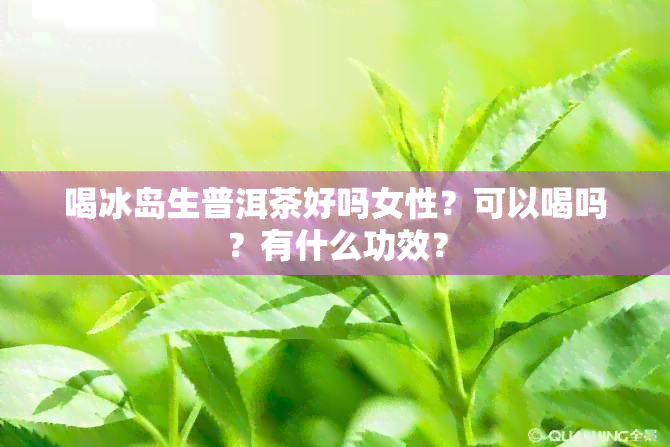 喝冰岛生普洱茶好吗女性？可以喝吗？有什么功效？