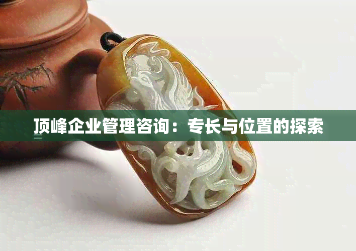 顶峰企业管理咨询：专长与位置的探索