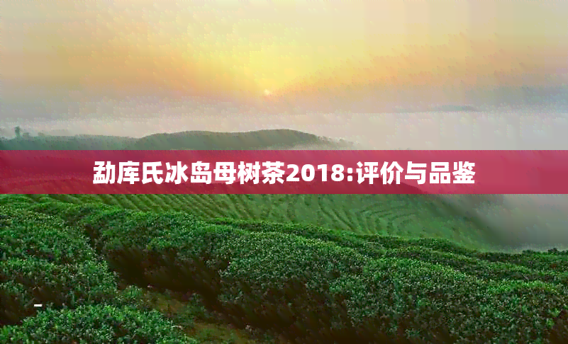 勐库氏冰岛母树茶2018:评价与品鉴