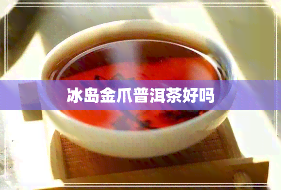 冰岛金爪普洱茶好吗