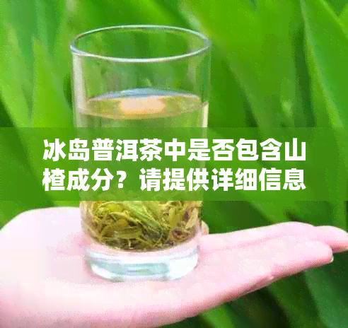 冰岛普洱茶中是否包含山楂成分？请提供详细信息。