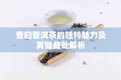 昔归普洱茶的独特魅力及其健益处解析