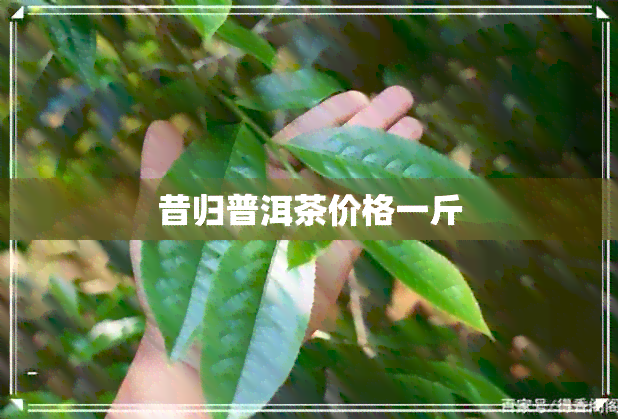 昔归普洱茶价格一斤