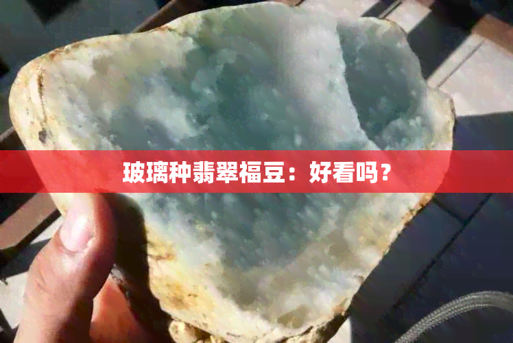 玻璃种翡翠福豆：好看吗？