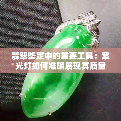 翡翠鉴定中的重要工具：紫光灯如何准确展现其质量与天然现象？