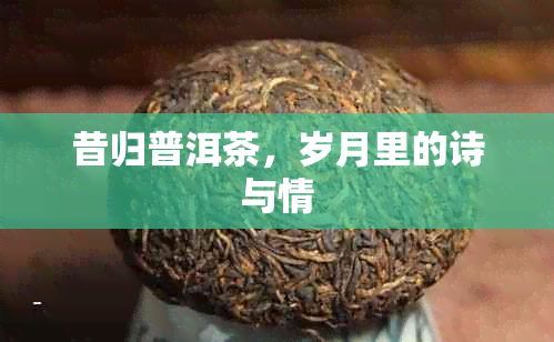 昔归普洱茶，岁月里的诗与情