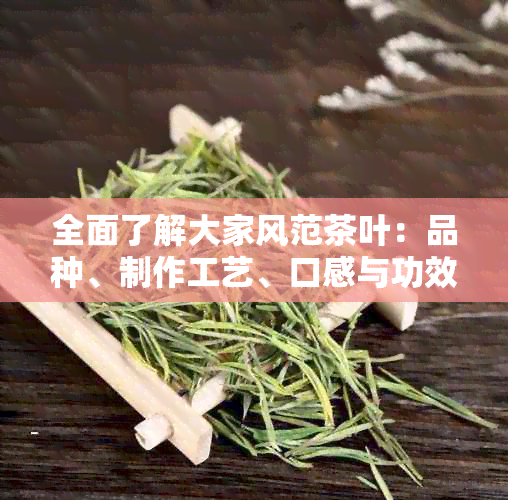 全面了解大家风范茶叶：品种、制作工艺、口感与功效，助您成为泡茶大师！