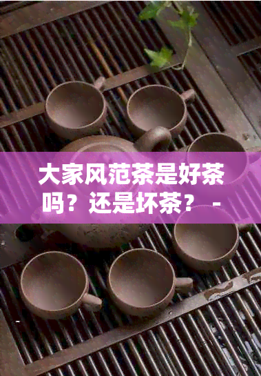 大家风范茶是好茶吗？还是坏茶？ - 大家风范茶叶介绍及特点。